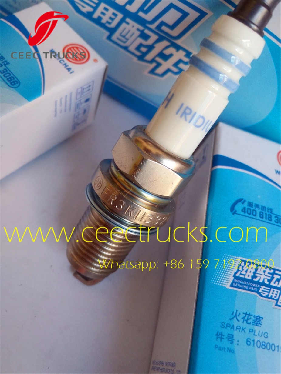 Heavy beiben truck engine spark plug 612600190535 supplier