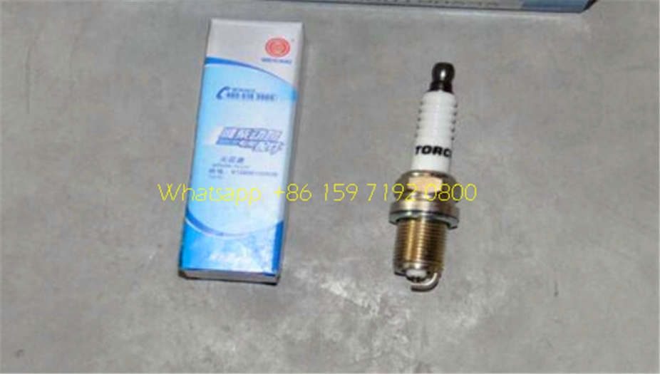 Heavy beiben truck engine spark plug 612600190535 supplier