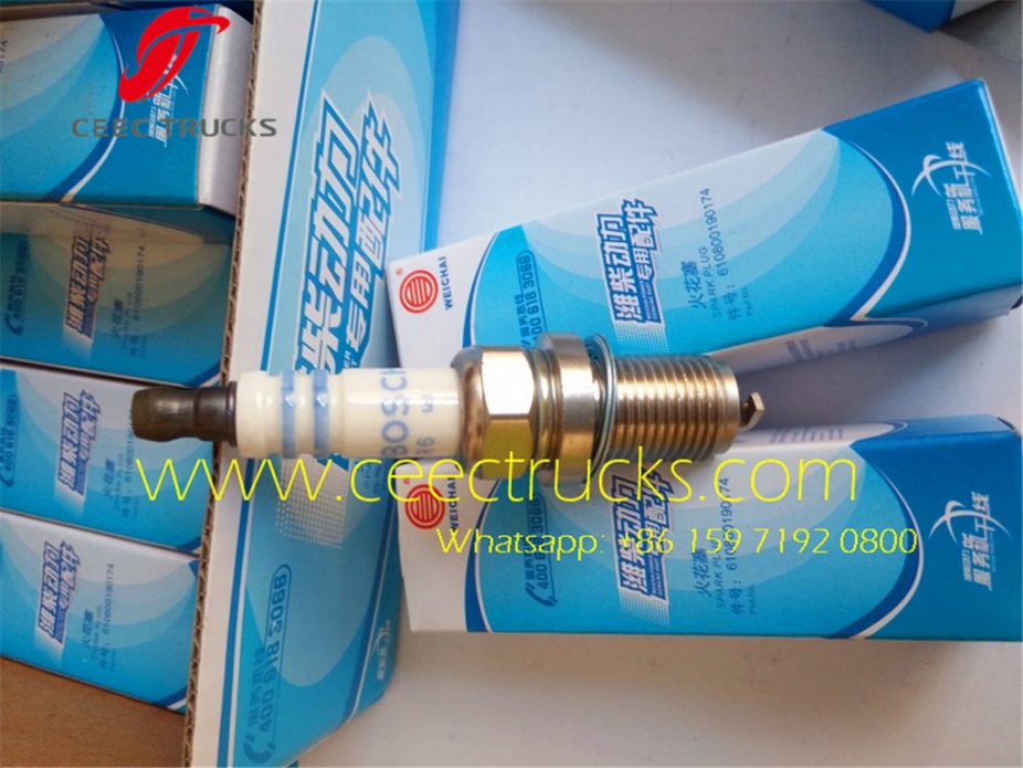 Heavy beiben truck engine spark plug 612600190535 supplier