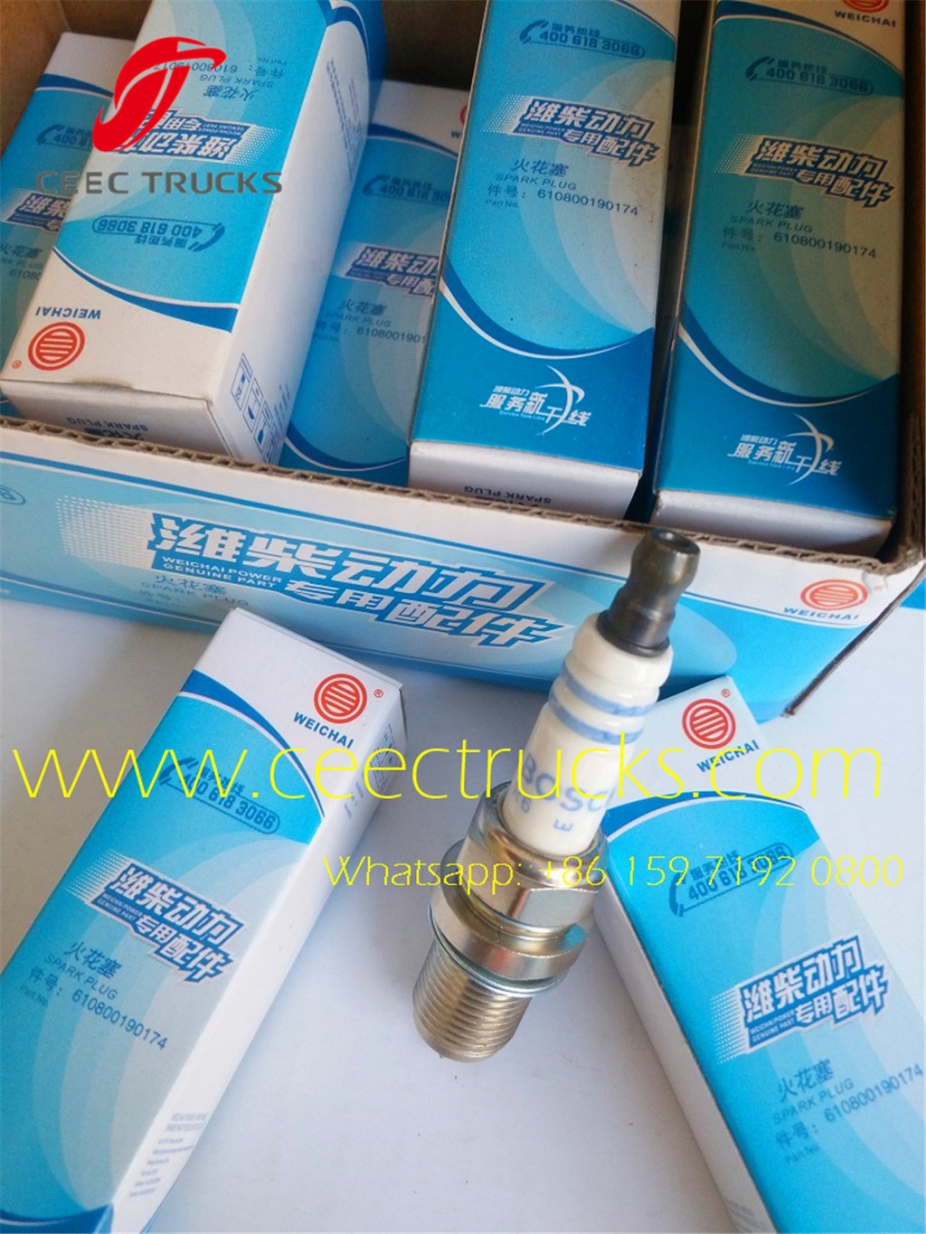 Heavy beiben truck engine spark plug 612600190535 supplier