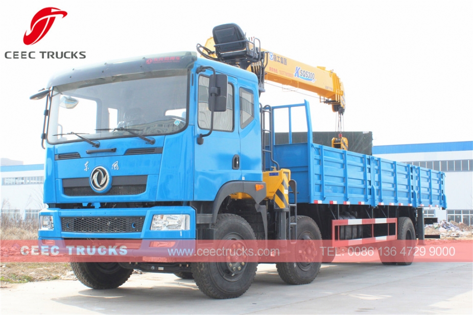 Telescopic 12T mobile boom crane trucks Dongfeng